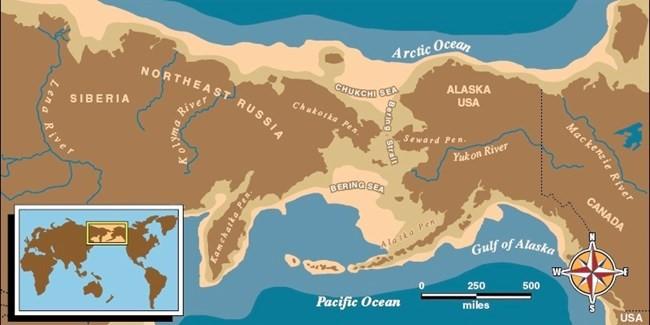 During the Last Glacial Maximum, the low sea levels exposed a vast land area that extended between Siberia and Alaska known as Beringia, which included the Bering Land Bridge. Image by National Park Service