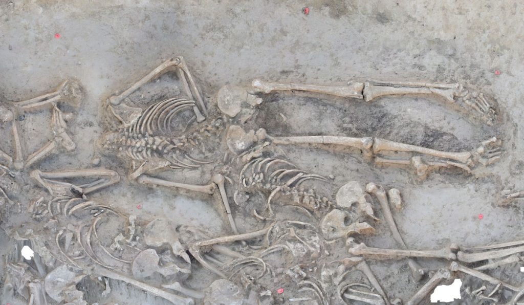 37 skeletons without heads; here are two of them lying on their fronts. How, when, and why the heads were removed is still unclear to the scientists. Photo: Dr. Till Kühl, Institute for Pre- and Protohistoric Archaeology/Kiel University