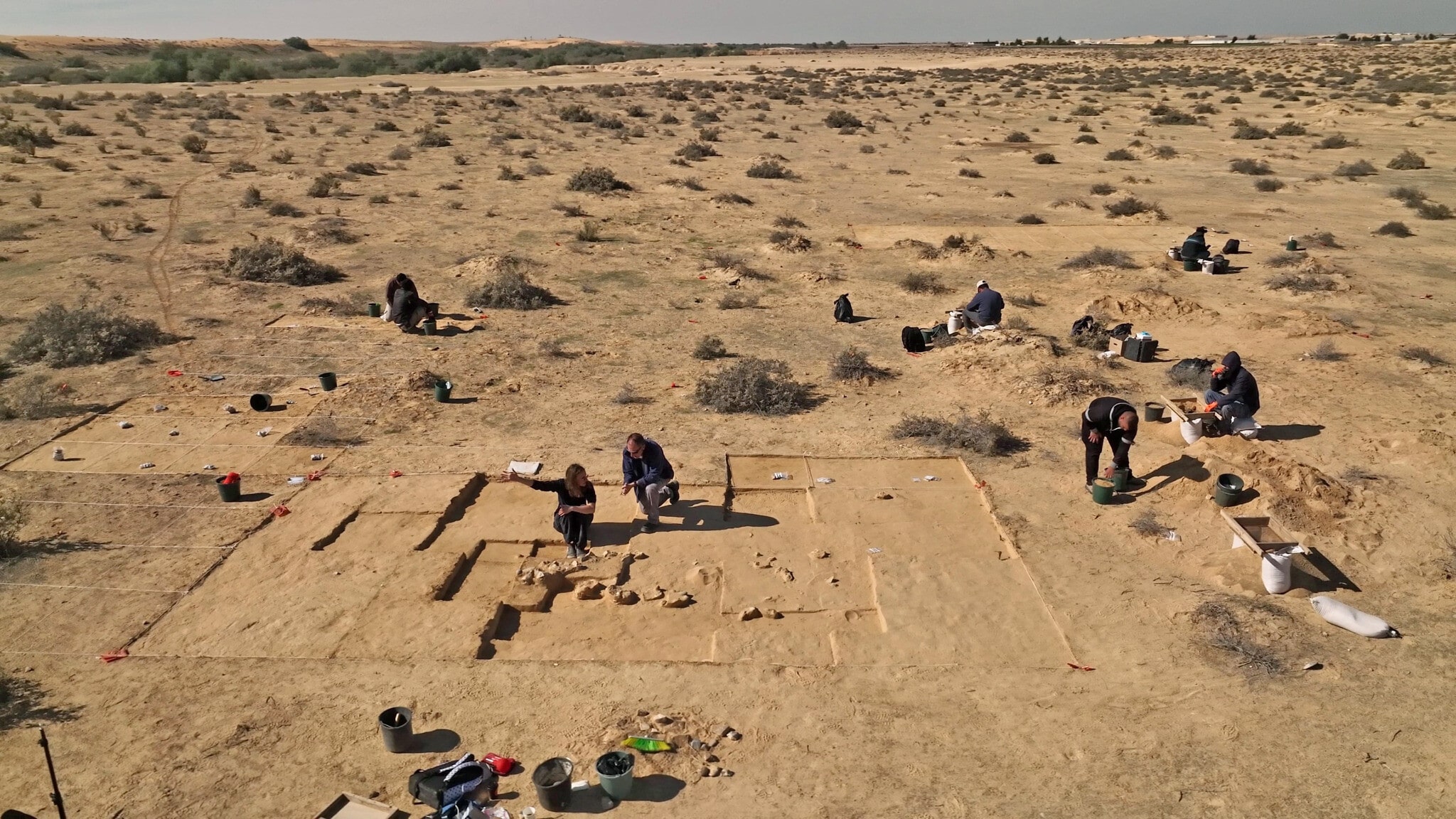 Archaeologists Discover 7,000-Year-Old Knives Made From Tiger Shark Teeth