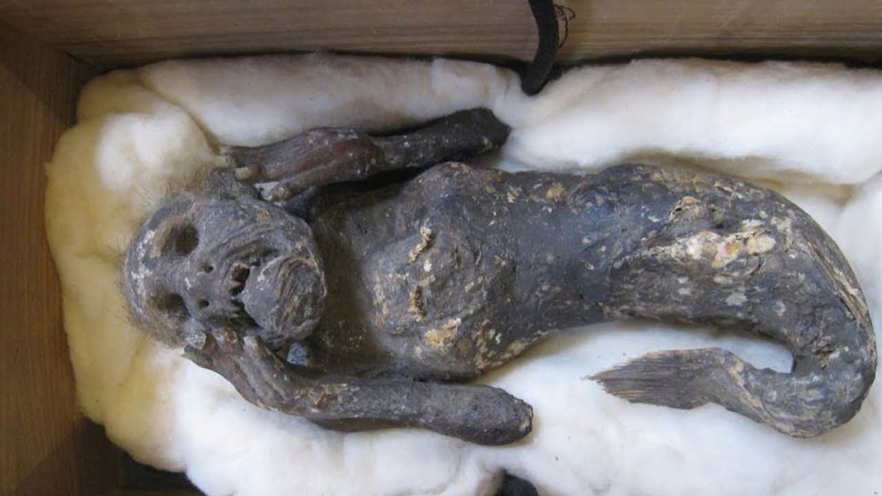 mummified mermaid