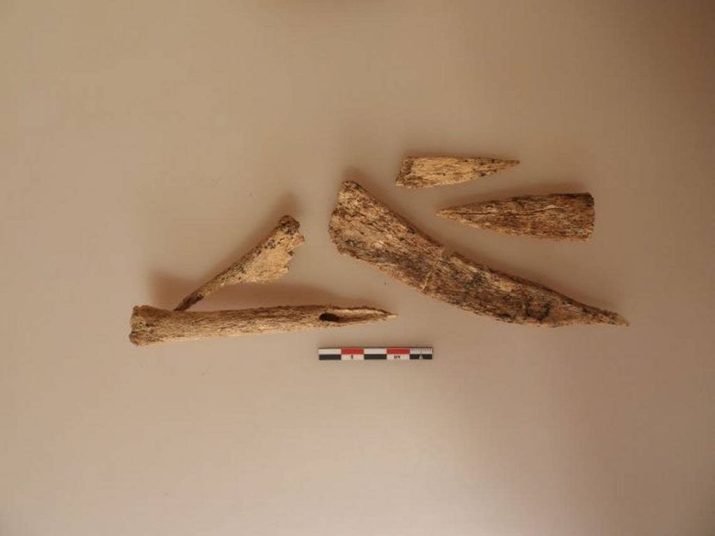 A set of bone tools.