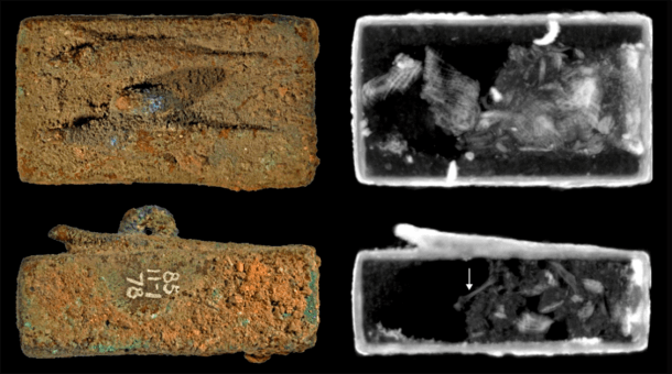 Animal coffin EA27584, surmounted by two lizard figures (top and side view). Neutron imaging shows textile wrappings and an 8mm long bone (arrow). (The Trustees of the British Museum and O’Flynn et al.)