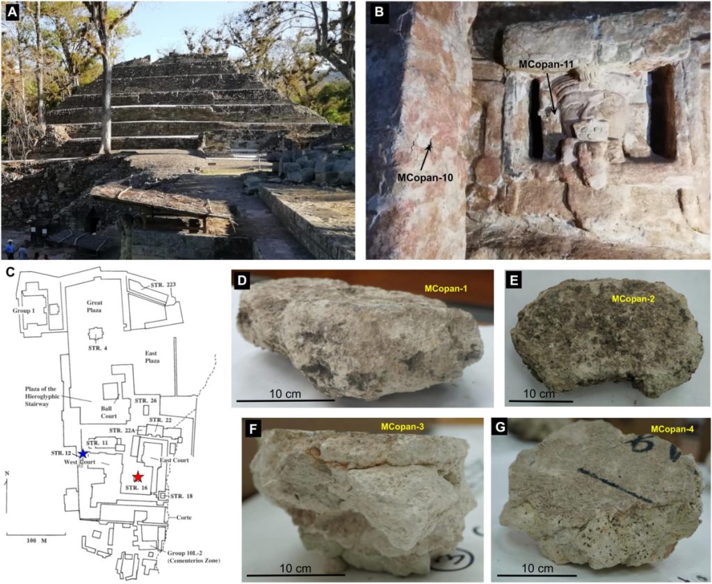 Maya plasters from Copan archaeological site (Honduras). (A) General view of Structure 10L-16 (Late Classic building dedicated in 776 CE) (22). Within this structure is located substructure “Rosalila” (540 to 655 CE), the best example of a complete Classic temple in the Maya area, whose surface is decorated with pinkish lime plaster and stucco masks (B). Samples MCopan-10 and MCopan-11 were collected from the latter location, shown (marked with a red star) in the site map (C). Samples MCopan-1 (D) and MCopan-2 (E) corresponding to coarse lime plasters from the interior wall of the central room of Structure 12, ca. 700 CE [blue star in (C)]. Samples MCopan-3 (F) and MCopan-4 (G) corresponding to a fine two-layer plaster (“stucco”) floor from the mid-Classic (500 to 700 CE) collected in tunnel 74 at Structure 10L-16. (C) adapted from (22) with permission from Springer Nature. Photo: Science Advances (2023). DOI: 10.1126/sciadv.adf6138