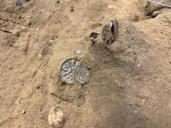 Metal detectorists found precious coins. Photo: Nordjyske Museer
