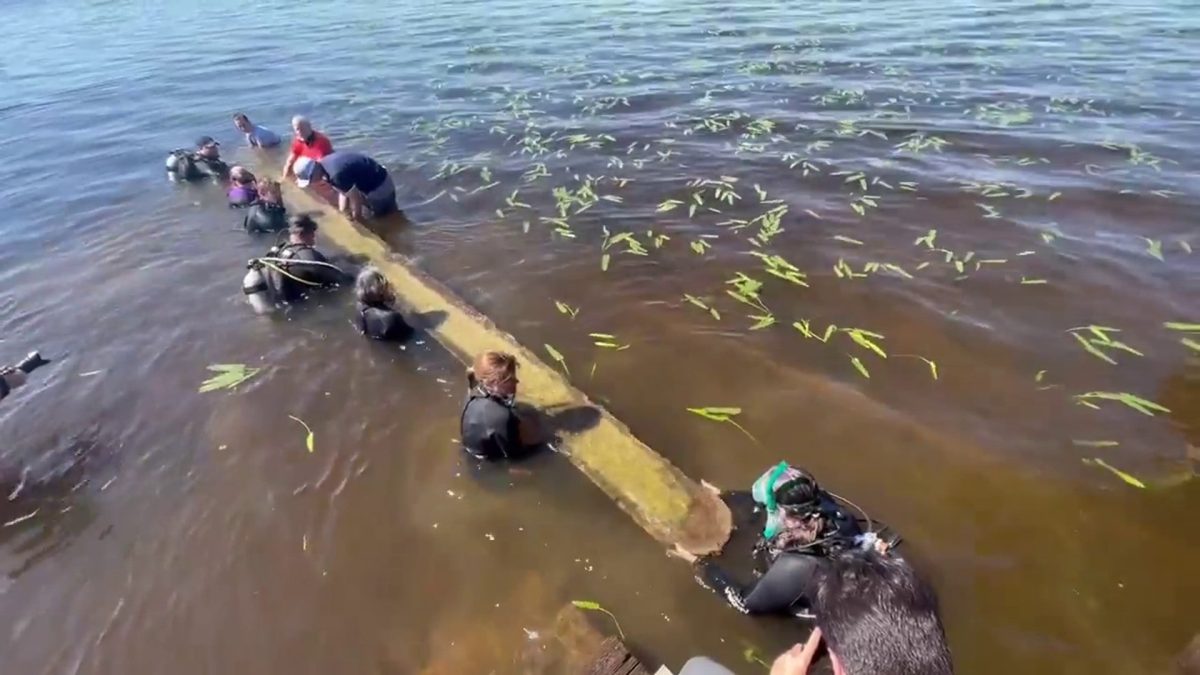 Nearly 1,000-year-old Native American canoe recovered from Lake Waccamaw