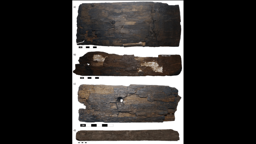 A study of wood reveals Vikings were traveling to North America around 500 years before Christopher Columbus. Photo: The journal Antiquity