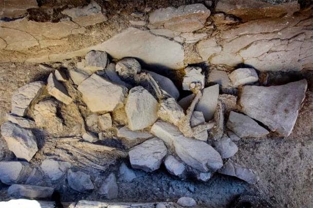 A skeleton buried in the added burial niches at the Piedras Blancas tomb. Photo: M. Ángel Blanco de la Rubia / Antiquity Publications Ltd 