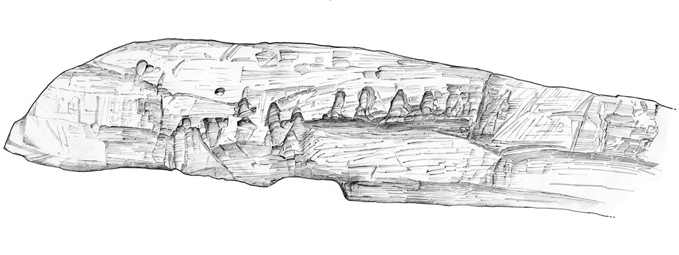 Archaeological illustration showing intentional cut marks. Photo: Historic England / Judith Dobie.