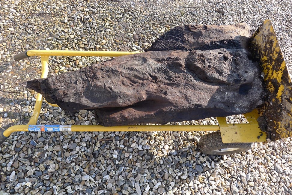 The Boxford Timber was discovered in Berkshire. At more than 6,000 years old, it is Britain's oldest carved wood. Photo: Derek Fawcett.