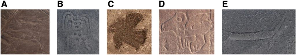 Геоглифы можно разделить на три основных типа: фигуративные, геометрические и линейные. (A) «Линейные образные геоглифы» были сделаны путем удаления черных камней по линейному рисунку, обнажая под ними белый песок. (B–E) «Образные геоглифы рельефного типа» часто располагаются на склонах и представляют собой сочетание поверхностей из черного камня и белого песка.