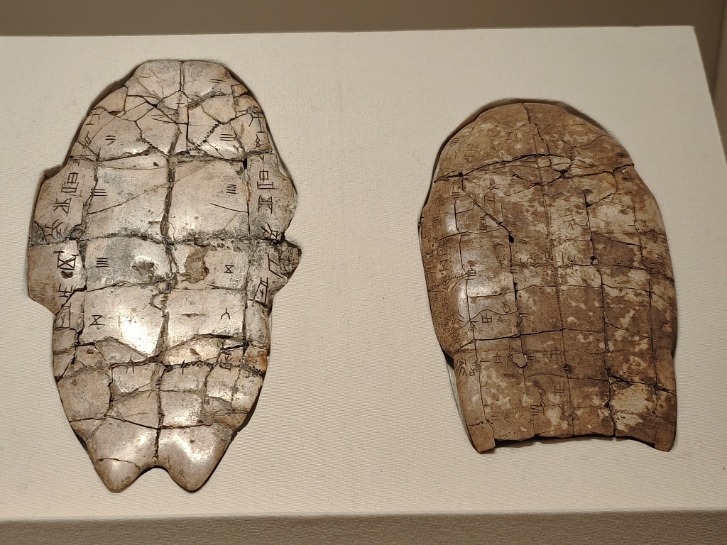 Oracle bones on display at the National Museum of China in Beijing. Photo: CFP