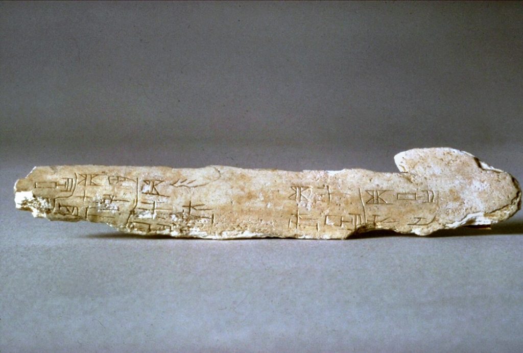 The Chinese History That Is Written in Bone – SAPIENS