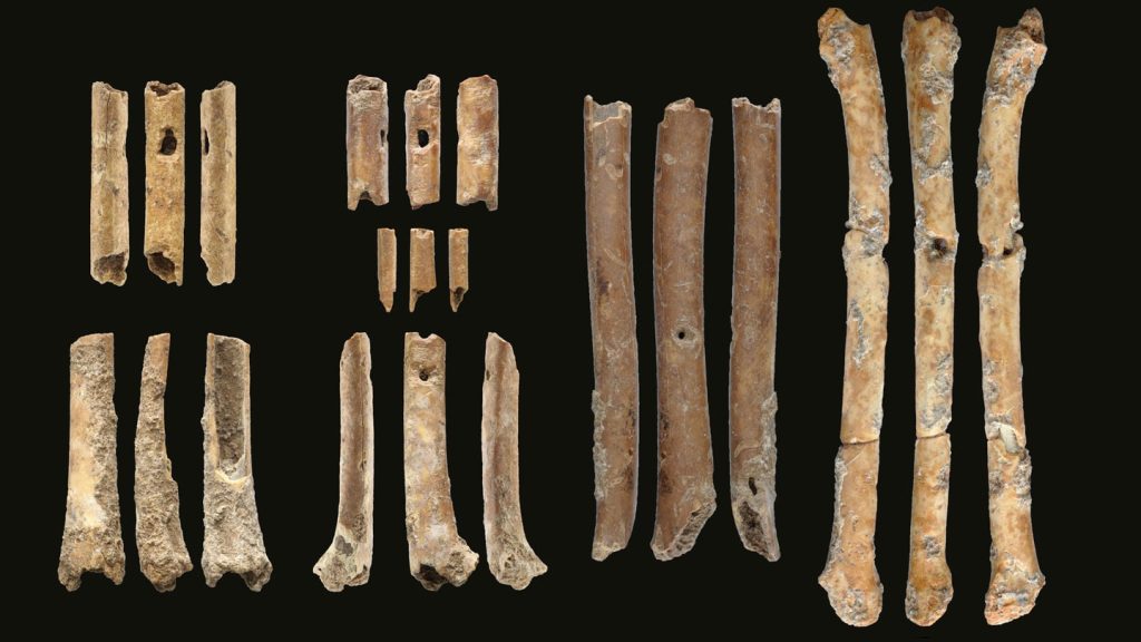 These seven flutes (each shown from three views) made from the bones of small waterfowl are the oldest known wind instruments from the Middle East, a new study says. The largest measures only about 63 millimeters, or 2.5 inches. Photo: LAURENT DAVIN