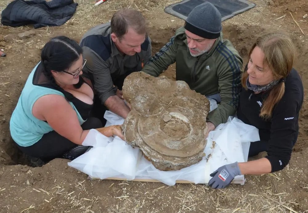 The Euston hoard is being lifted. Photo: SCC