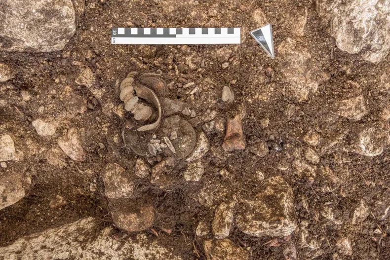 The grave's contents are seen. Photo: NHM VIENNA, ANDREAS W. RAUSCH