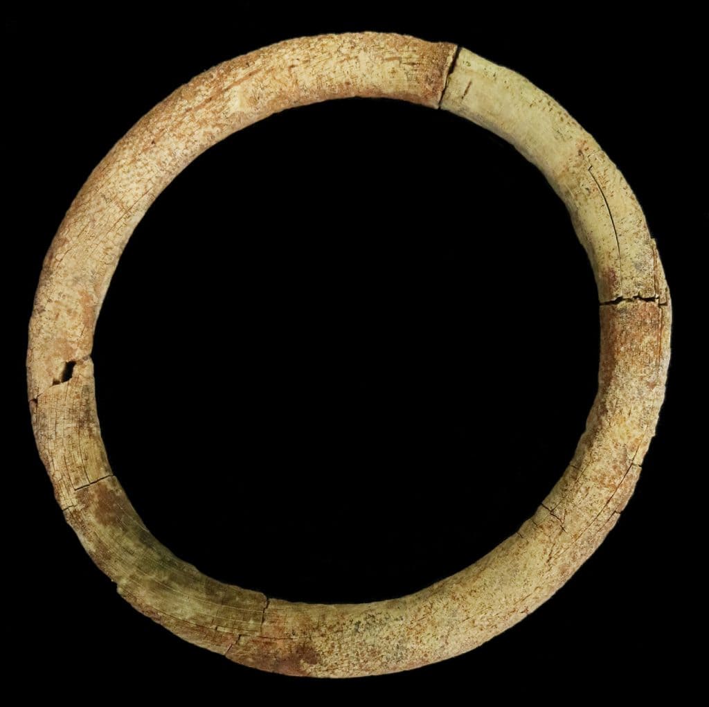 A well-preserved ivory bag ring from the an Anglo-Saxon burial at Scremby in Lincolnshire. Photo: ©Hugh Willmott