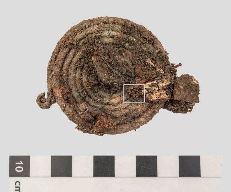 The bronze spiral from the grave, with textile remnants (marked).Photo:
NHM VIENNA, ANDREAS W. RAUSCH