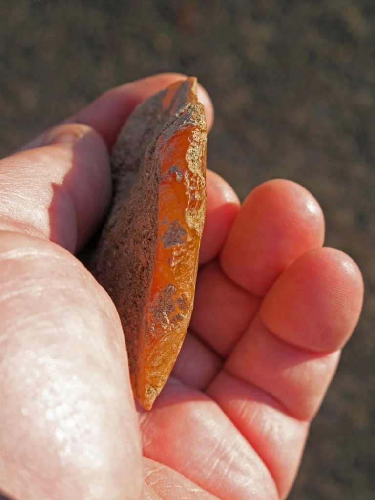 A team uncovered two finely crafted orange agate scrapers, one in 2012 with preserved bison blood residue and another in 2015 buried deeper in the ash, at Rimrock Draw Rockshelter. Photo: Bureau of Land Management Oregon and Washington