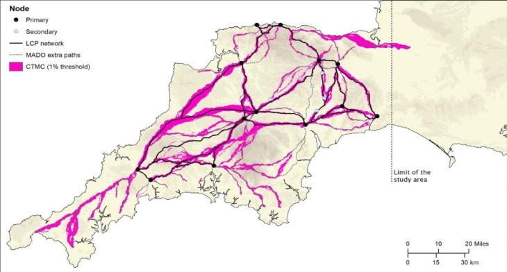 Cover Photo: Highlighted in pink is the full network. UNIVERSITY OF EXETER