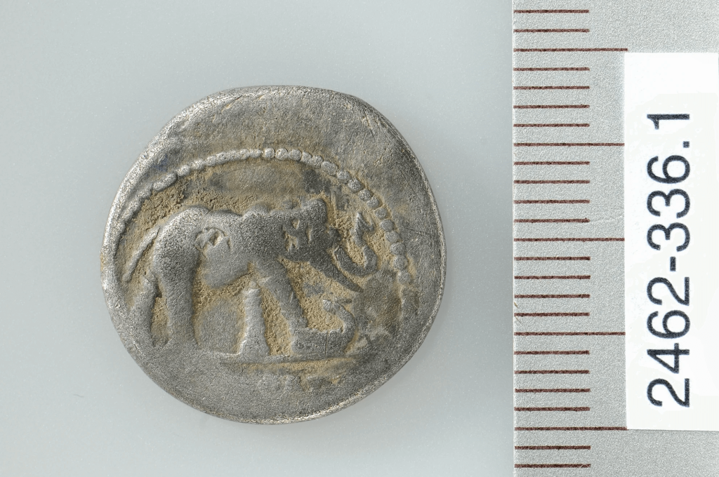 
In addition to copper and bronze coins, a silver coin (denarius) of Julius Caesar from the 1st century BCe was also found.The face of the coin shows an elephant trampling on a dragon or snake. Credit: ADA Zug/Res Eichenberger.