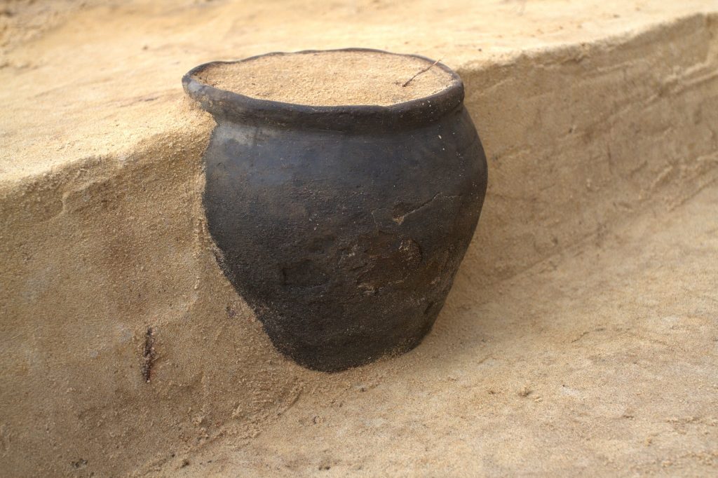 Vast Goth cemetery brimming with grave goods and ornate silver jewelry  discovered in Poland