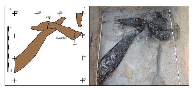 The wooden structure, showing where Stone Age humans have cut into the wood. Image Credit: Larry Barham/University of Liverpool.