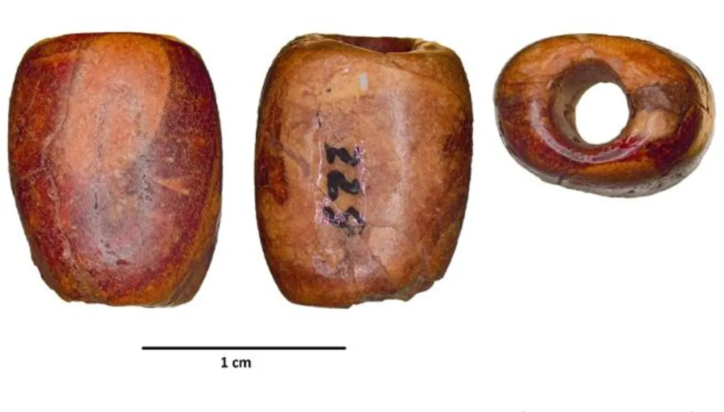 Researchers found a single bead of Baltic amber in a Catalan cave. Image credit: C. B. González, edited by M. J. Vilar Welter