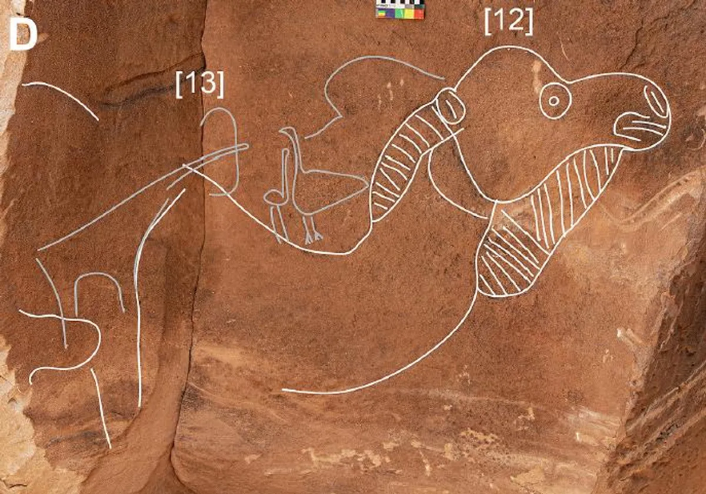 Пример одного из натуралистических изображений древних верблюдов, найденных на стоянке Сахут. Изображение предоставлено: Мария Гуаньен и др. Аль 2023.