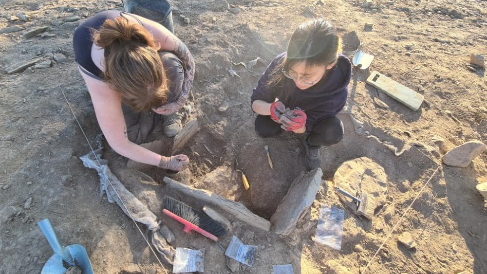 Students digging a funerary cist at the Las Capellanías complex. Photo: Durham University