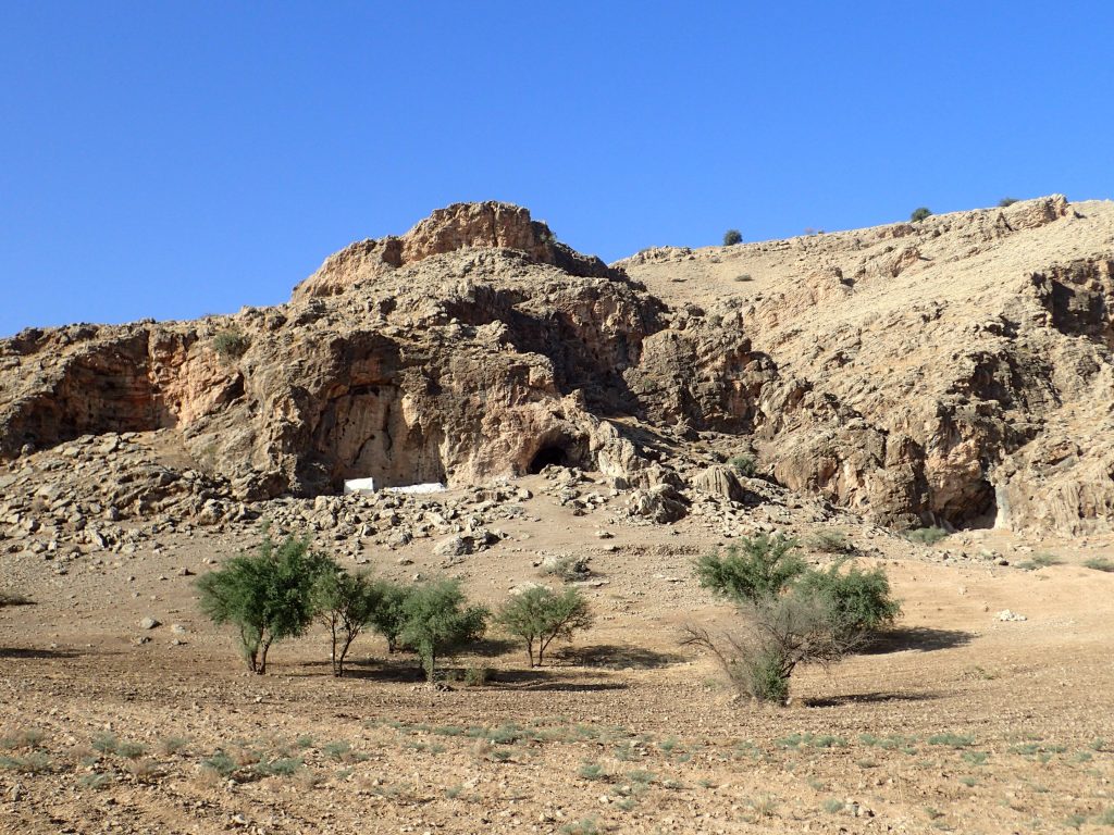 The findings from the Ghar-e Boof site reveal that the diet of the local hominins included carnivores and tortoises, among others. Credit: N. Conard
