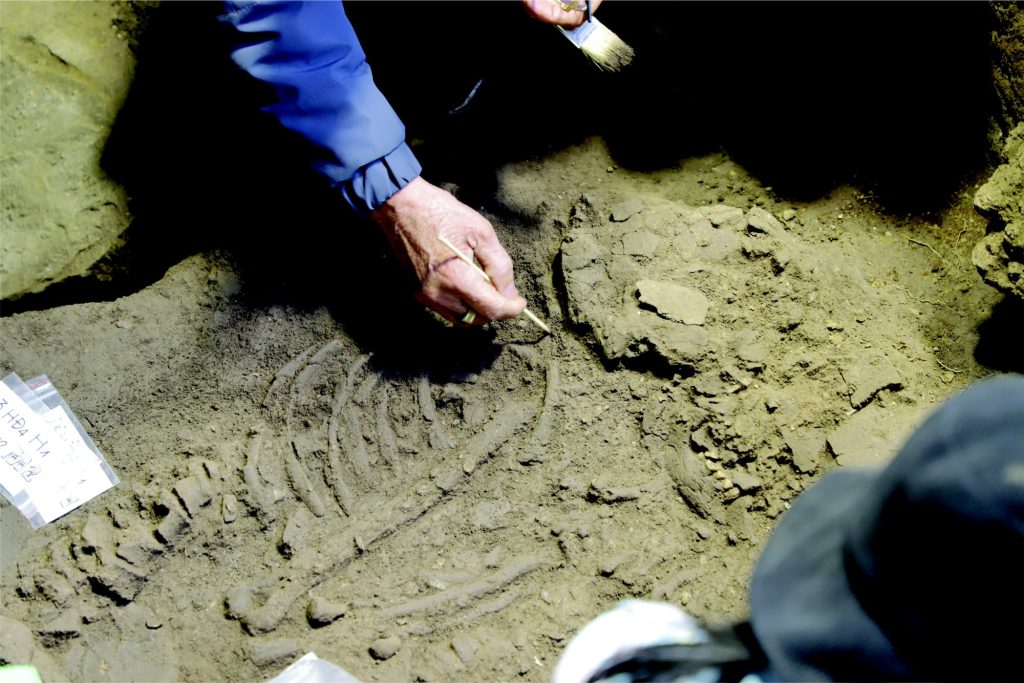 Людські останки знайдені у комплексі пагоди Там Чук у районі Кім Банг провінції Ханам, північний В'єтнам. Фото: Департамент культури, спорту та туризму Ханама