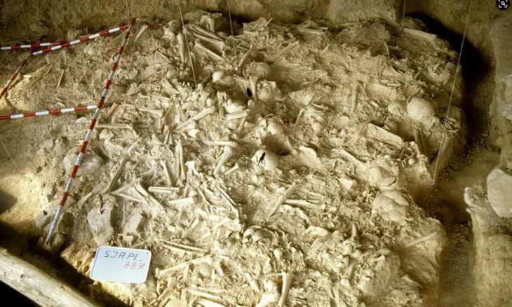 Skeletal remains in a mass burial site in a shallow cave in the Rioja Alavesa region of northern Spain. Photo: Scientific Reports
