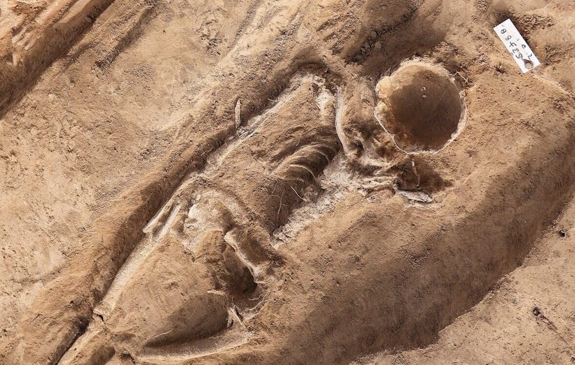 Archaeologists found a noble woman buried beside her 'husband' 1,000 years  ago with the top of her face hollowed out - Arkeonews