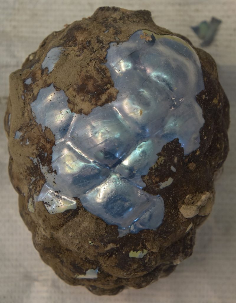 Скляна шишка. Фото: Археологічний парк Помпеї