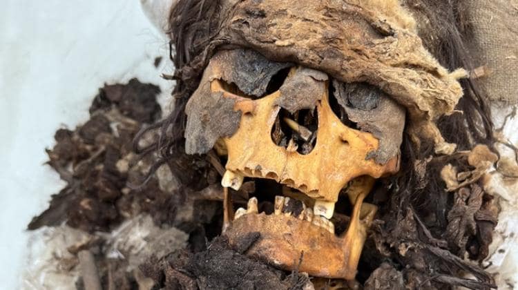 Частично мумифицированная голова женщины в Серро-Колорадо. Фото: Л. Майчжак