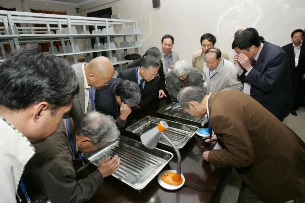 Photo: Tsinghua University Research and Conservation Center for Unearthed Texts