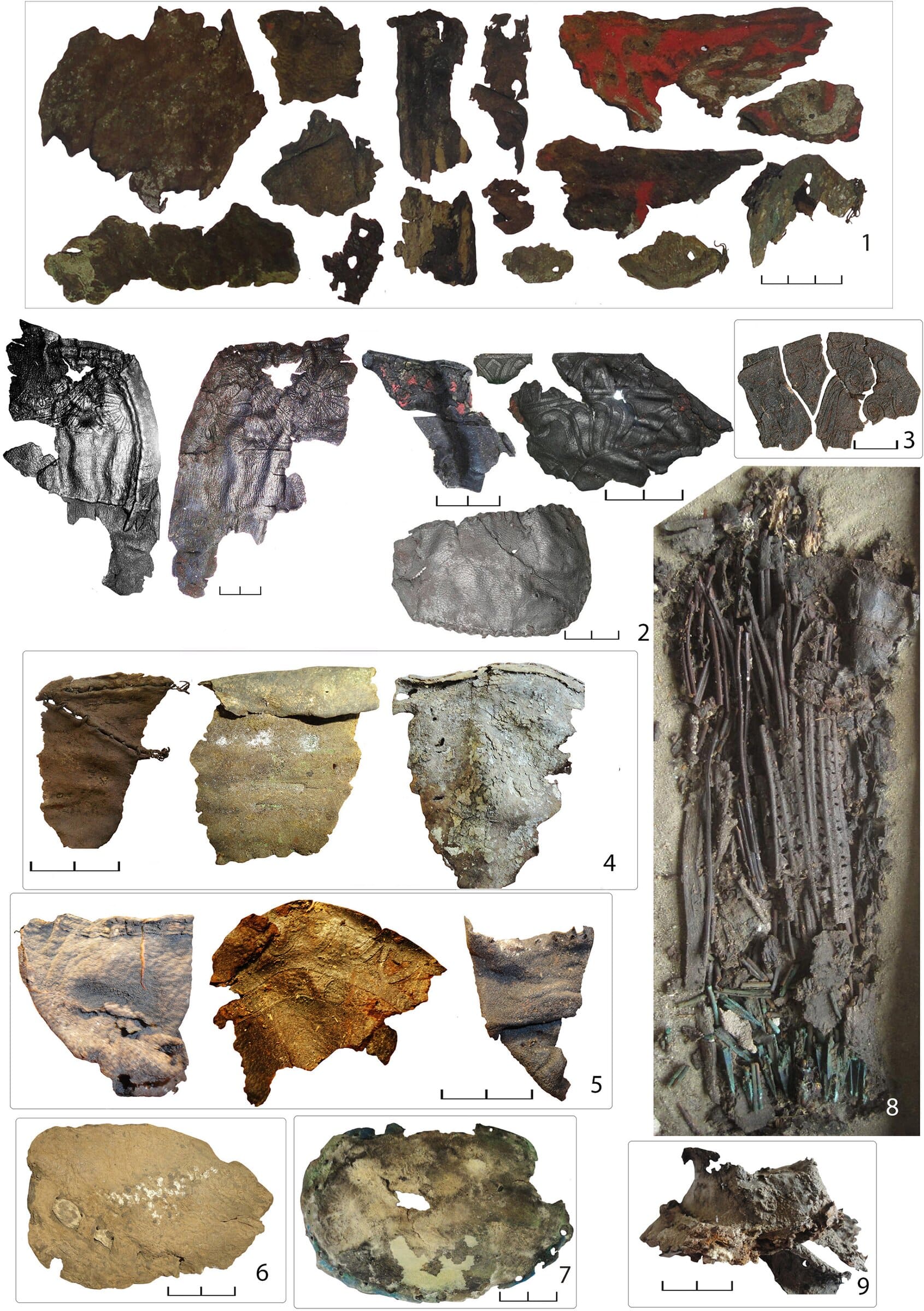 Analysis Of Ancient Scythian Leather Samples Shows Ancient Scythians ...