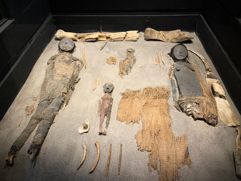 Chinchorro mummies, ones of the oldest preserved in the world, at the museum in San Miguel de Azapa, 12 km from Arica, Chile.