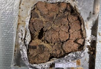 Bronze Age ceramics recovered as a block from the rescue excavation in Heimberg. Photo © Archaeological Service of the Canton of Bern, Frédérique Tissier