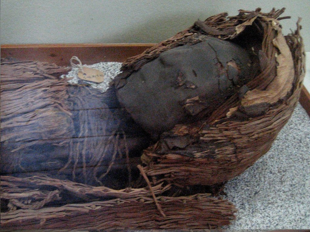 A Chinchorro mummy.