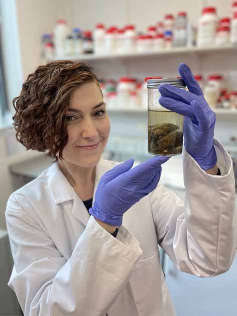 Researcher Alexandra Morton-Hayward shows the remains of a 200-year-old brain preserved in formalin. Photo: Graham Poulter/Royal Society Publishing