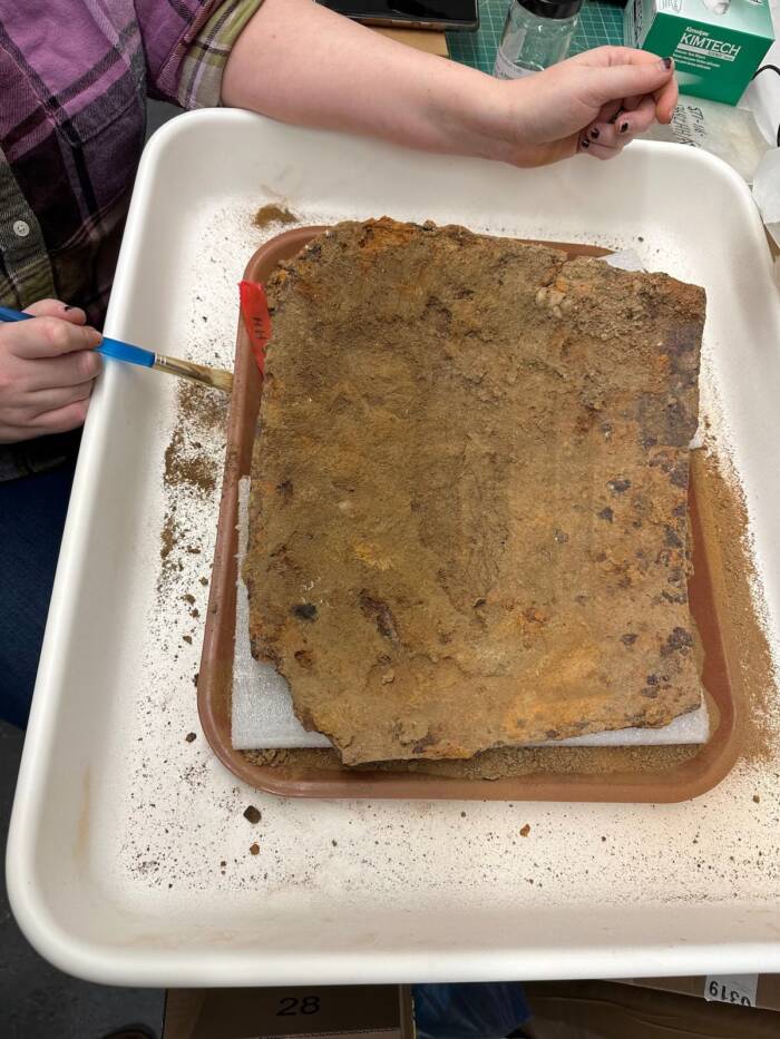 The metal tasset looked like a “cafeteria tray” when it was first unearthed, but archeologists suspected that it was part of a piece of armor. Photo: Historic St. Mary’s Commission