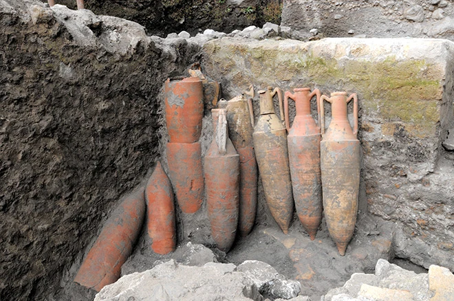 Amphora ceramic containers lined along a wall of a structure at the Somma Vesuviana site. Photo: Research Division for the Mediterranean Areas, Institute for Advanced Global Studies, University of Tokyo, Komaba.