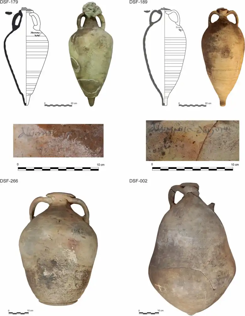 The main types of amphorae documented in the Ses Fontanelles wreck: DSF-179 and DSF-189, Almagro 51c with tituli picti; DSF-266, flat bottom amphora; DSF-002, Ses Fontanelles I type. Photo: M.A. Cau-Ontiveros et al.