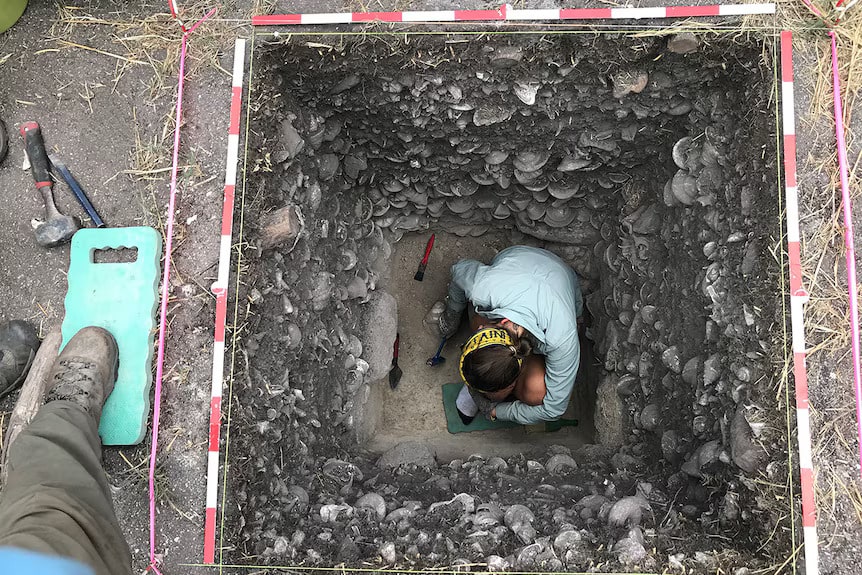 The researchers ended up excavating a midden on Lizard Island in search of pottery. Photo: Sean Ulm