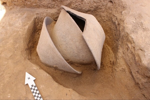 The broken ivory vessel deposited within the large basalt bowls. Photo: Davida Dagan, Antiquities Authority