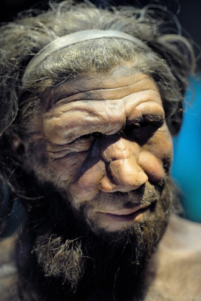 Neanderthal man reconstruction, Natural History Museum, London 