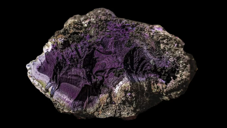 Tyrian purple fragment found at Carlisle, England. Wardell Armstrong