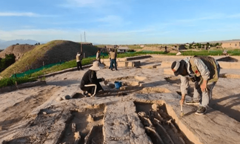 Archaeologists uncover 8th-century BC ruins near Surkhandarya river
Photo: Northwest University - Global Times