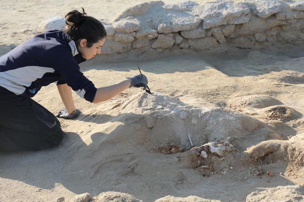 Experts examine the site of a mass burial in the monastery area of the site. Photo: Umm Al Quwain Department of Tourism and Archaeology